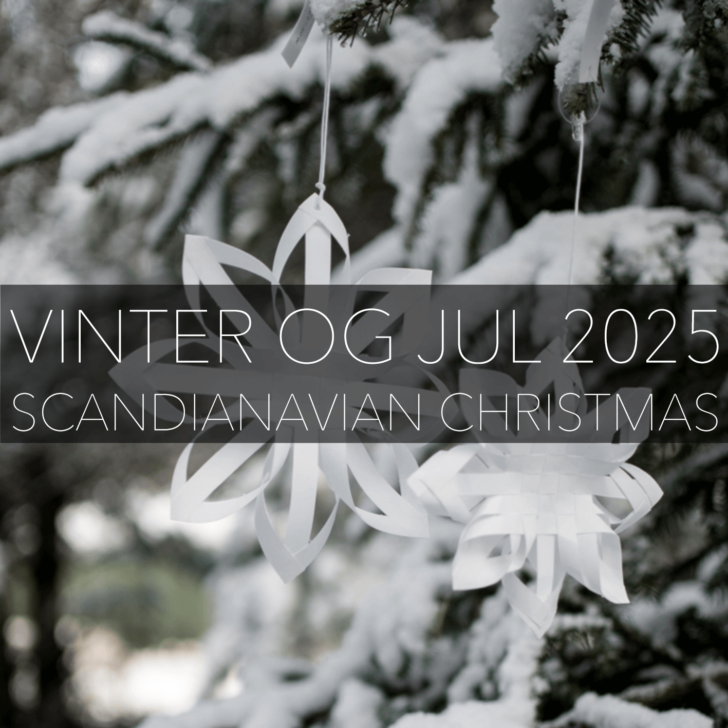 Sterne_Vinter_Jul_2025 Sterne vinter jul 2025